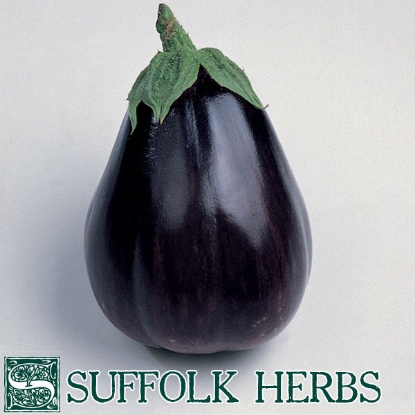 Picture of AUBERGINE Egg Plant Black Beauty ORGANIC SEED  (Solanum melongena)