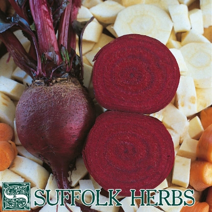 Picture of BEETROOT (Beta vulgaris) Detroit ORGANIC SEED