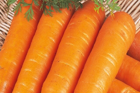 Picture for category Carrot