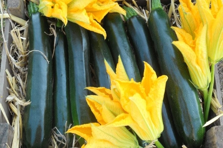 Picture for category Courgette