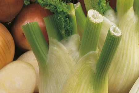 Picture for category Fennel