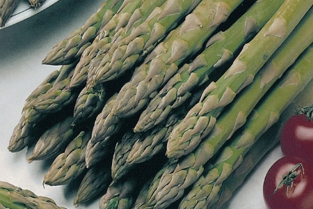 Picture for category Asparagus Crowns