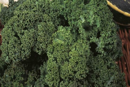 Picture for category Kale