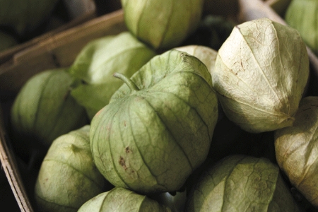 Picture for category Tomatillo