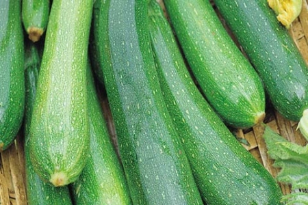 Picture for category Courgette