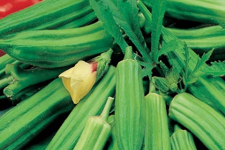 Picture for category Okra