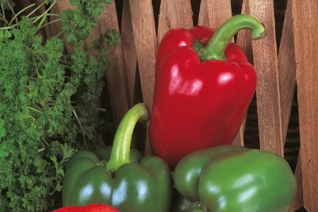 Picture for category Pepper