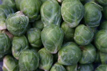 Picture for category Brussels Sprout