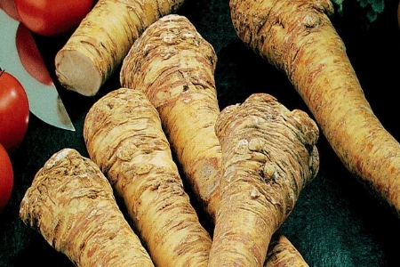 Picture for category Horseradish