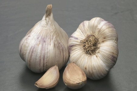 Picture for category Garlic