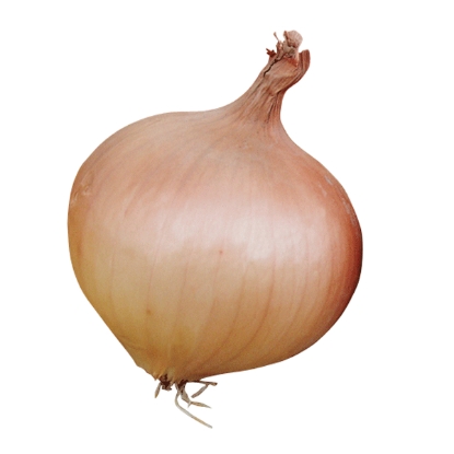 Picture of Onion Sets Rumba - 500g net - OCTOBER DELIVERY