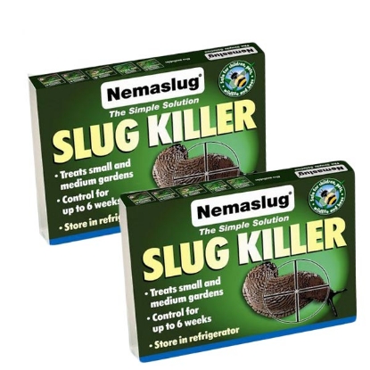 Picture of DIRECT SALE Nemaslug Slug Killer - 2 Pack 100 sqm Planned Programme