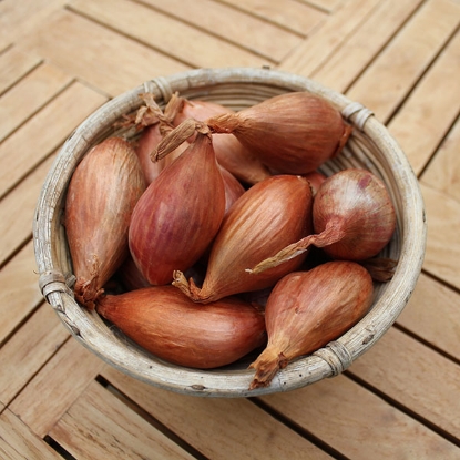 Picture of Shallot Sets Longor - 500g net - OCTOBER DELIVERY