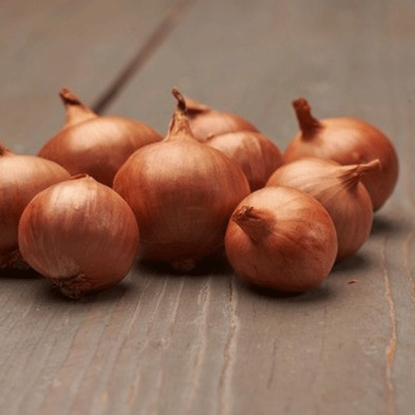 Picture of Shallot Sets Biztro 500g net - NOVEMBER DELIVERY