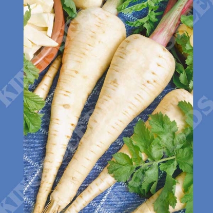 Picture of Parsnip Imperial Crown