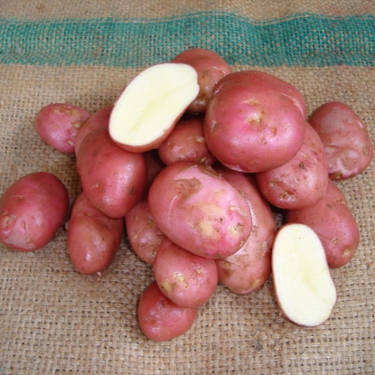 Picture of Potatoes Desiree 2.5kg - Early Main. DELIVERY FROM JAN-MARCH 2025