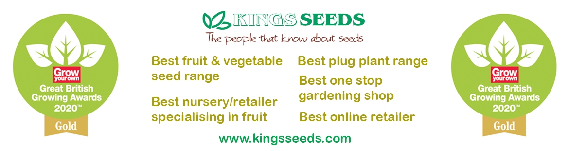 kingsseeds